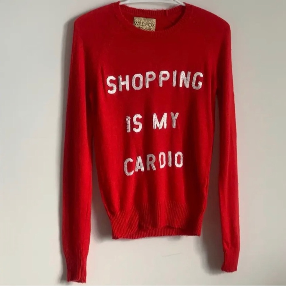 Never Worn Wildfox sweater